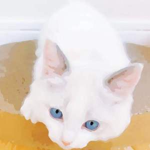 中国男女操逼视频
